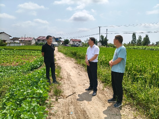 C:\Users\Administrator\Desktop\督导调研莲花街道和博望街道办事处土地开发项目种植管护情况（二）.jpg