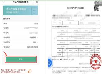 Feige图片20250109103827