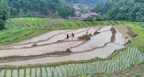 568504b5ffd8469daf18b6bef686df6